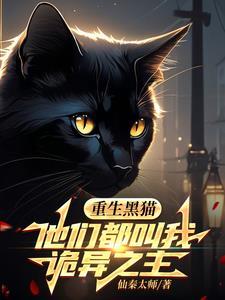 主角是黑猫的是哪本