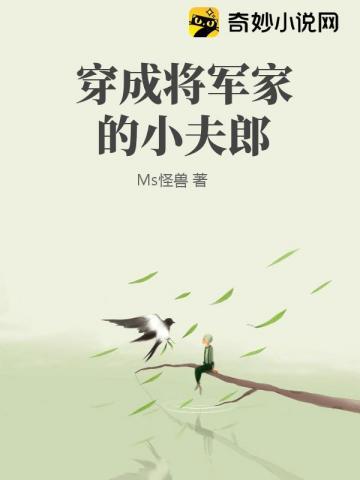 穿成将军家小夫郎百度