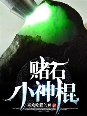 赌石神术完整版