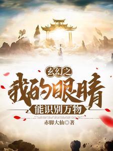 我的眼睛能无限鉴定