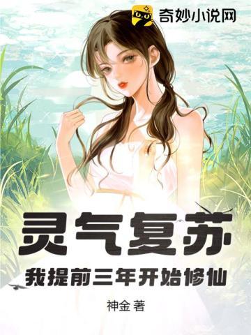 湖上闲思录pdf