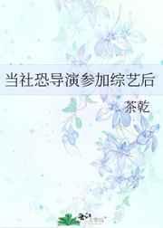 女主叶宁