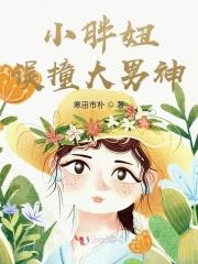 霸道总裁爱上小胖妞